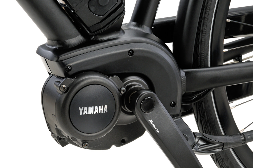 Nieuw in het assortiment van Batavus: De Batavus Dinsdag E-go! - World of  Bikes