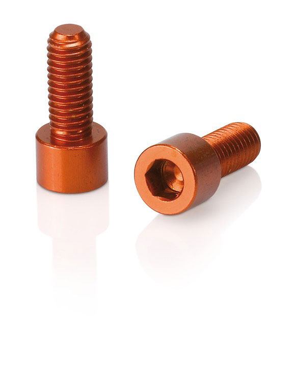 BOUT M5X12 XLC INBUS ALM BIDONHOUDER OR SET A 2